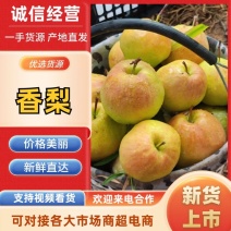 【复购高】山西香梨/新品上市/全国发货/欢迎咨询