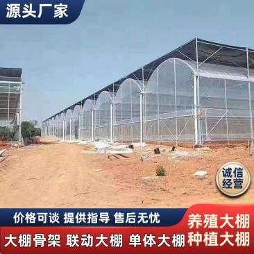 大棚骨架联动大棚单体大棚养殖大棚种植大棚