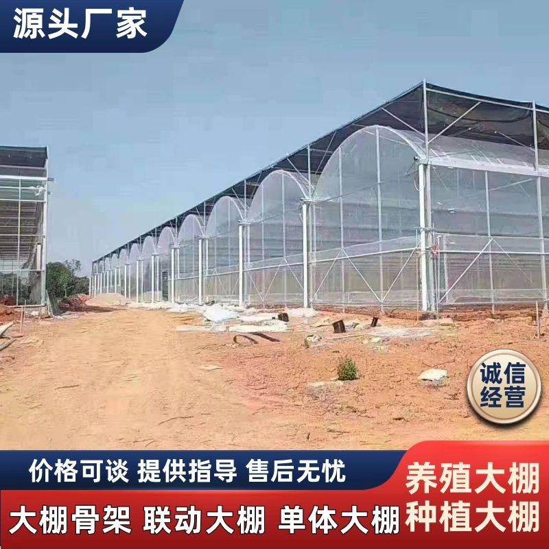 大棚骨架联动大棚单体大棚养殖大棚种植大棚
