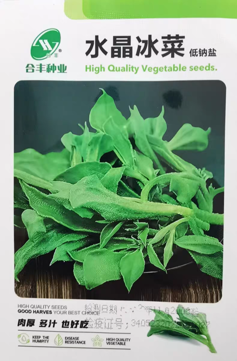 水晶冰菜种子冰草种子肉厚多汁生食入口即化耐寒抗病