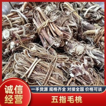 【推荐】正宗无硫野生五指毛桃小扎把干货自然晒干，纯无硫