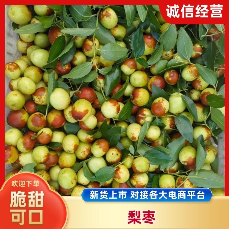中华大梨枣一手货源质量保证价格便宜全国发货