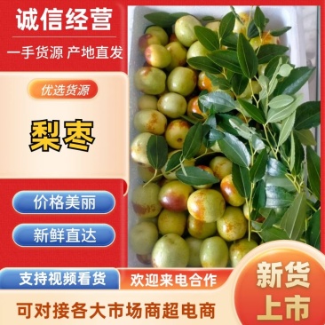 中华大梨枣鲜枣产地一手货源质量保证全国发货