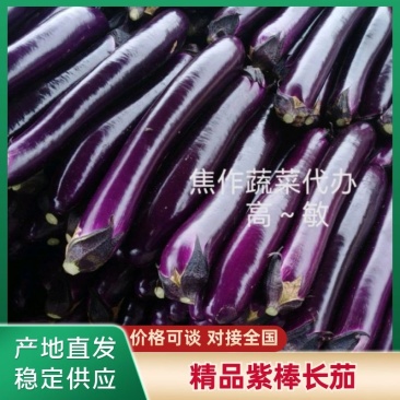 精品紫棒长茄，广茄，河南焦作博爱产地现货直发全国