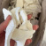 怀山药干货无硫老品种铁棍山药干片河南焦作温县蔬菜中药材淮