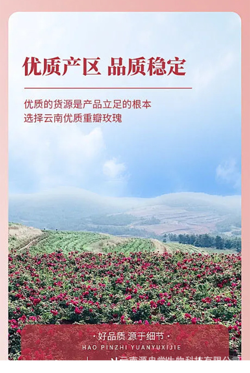 云南墨红玫瑰花冠冻干花烤干花微波干无疏大朵可食用花玫瑰水