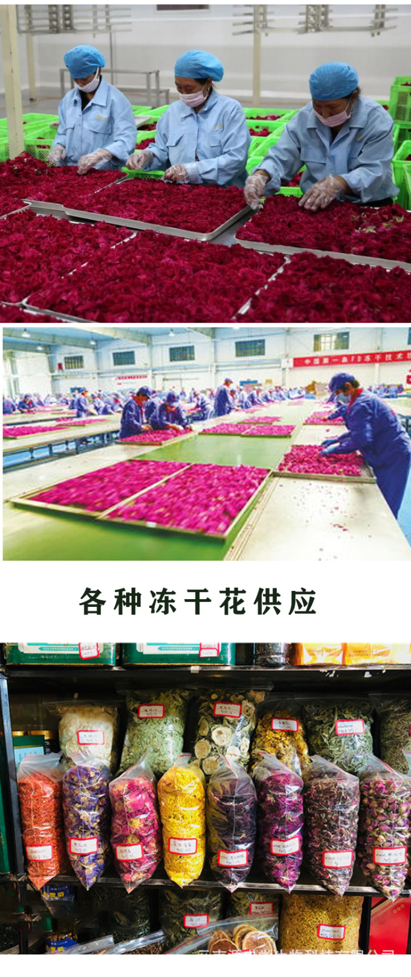 云南墨红玫瑰花冠冻干花烤干花微波干无疏大朵可食用花玫瑰水