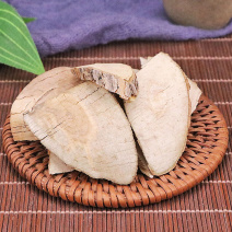 厂家直销接骨木粉新货散装接骨木中药粉