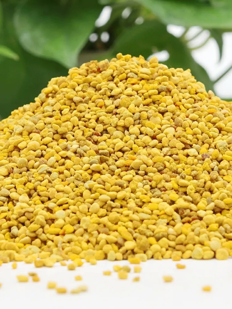 源头厂家新货蜜蜂花粉