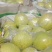 【今日推荐】雪花梨大量上市产地直发品质保证对接全国