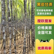 【推荐】黑皮甘蔗大量上市现货现发产地直供品质保证