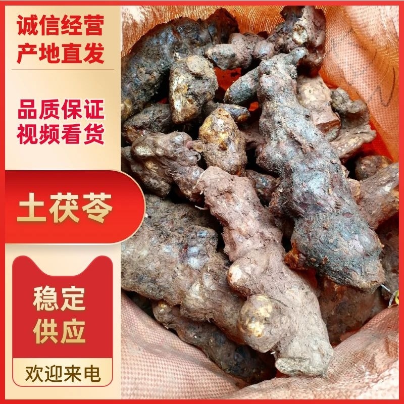 【量大价优】土茯苓长期供货现货批发欢迎来电咨询