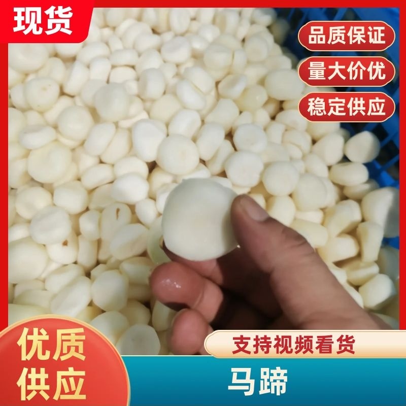 精品西瓜红红薯产地直发品质直发欢迎咨询合作