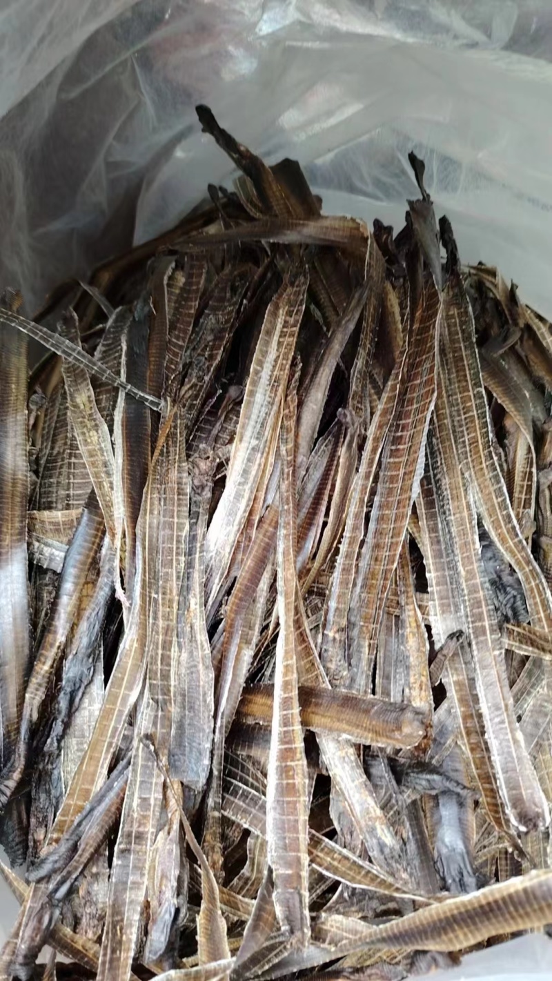 地龙广地龙中药材正品品质好南药园直供