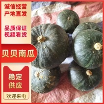 山东贝贝南瓜产地直发量大从优欢迎洽谈合作