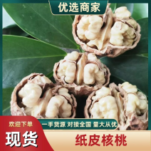 纸皮核桃新货大麻子，皮薄，仁白，饱满，个大
