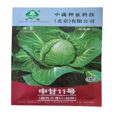 甘蓝种子中甘11号雄性不育MS制种一代杂交农科院中蔬