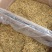 【精品】陕西金银花,价值高可制作凉茶粗壮鲜嫩
