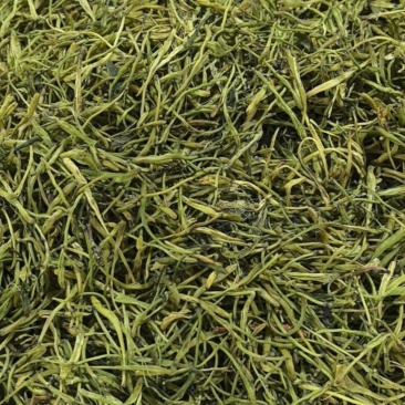陕西金银花，价值高可制作凉茶粗壮鲜嫩，绒毛多