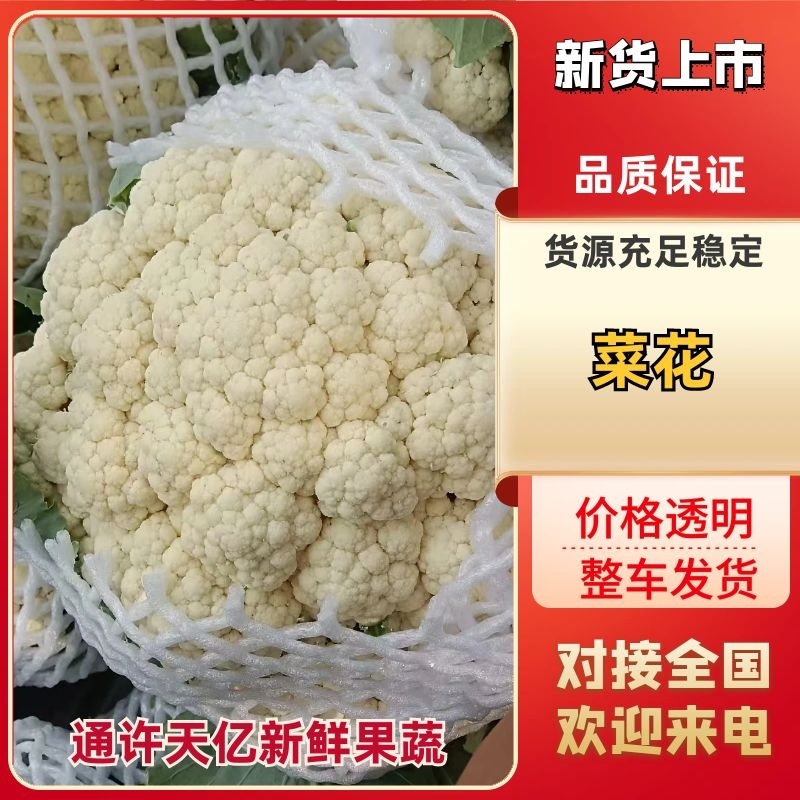 花菜松花菜河南开封发货一手货源全国发货