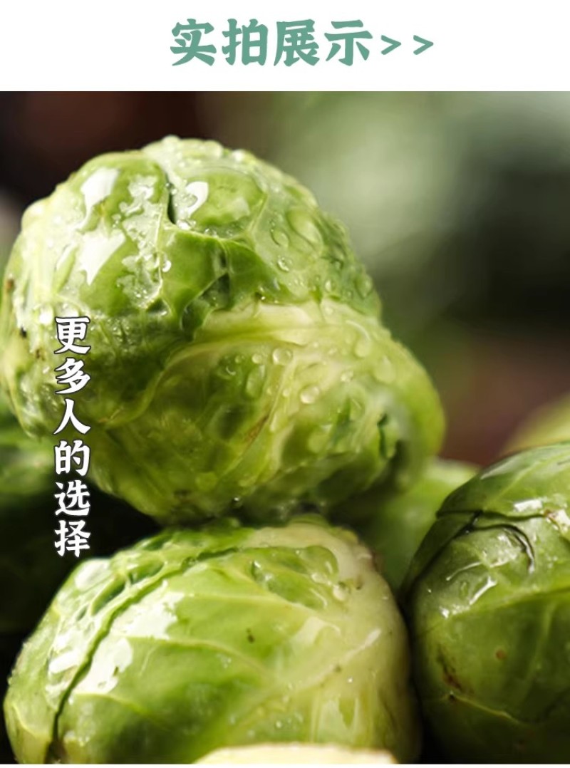 孢子甘蓝种子抱子甘蓝种子小芽球包菜种子耐寒味甜浓郁