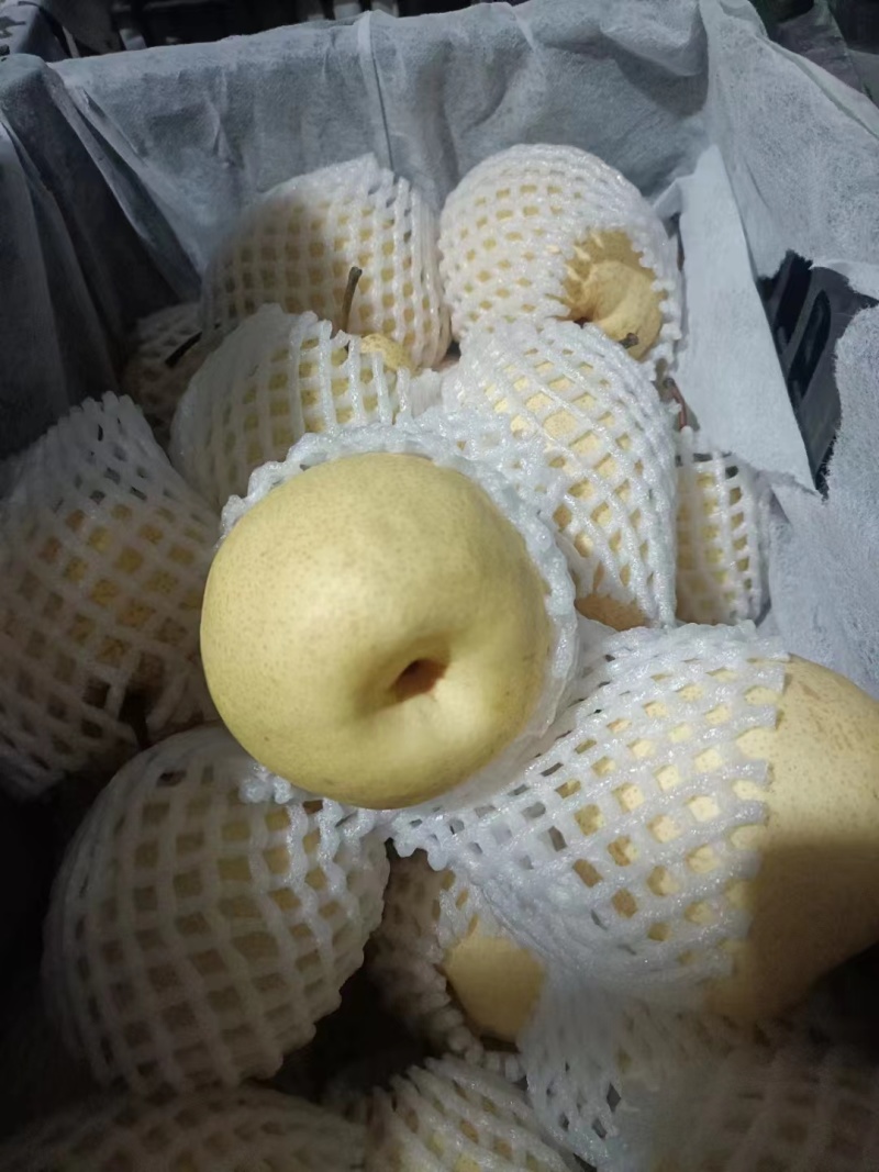 【优选】山西酥梨-隰县酥梨-产地直发-足斤足量-可视频看货