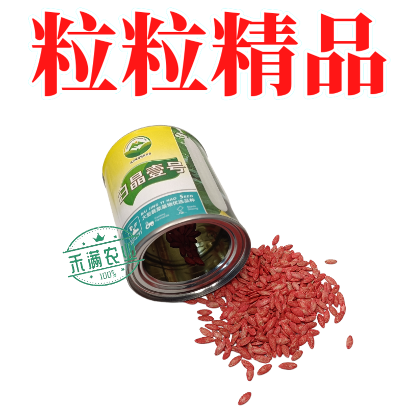 白晶壹号白皮黄瓜种子老品种白黄瓜种籽白黄瓜种子