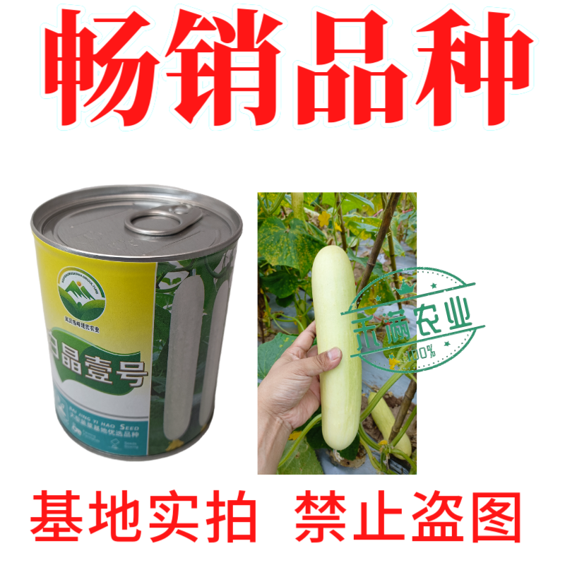 白晶壹号白皮黄瓜种子老品种白黄瓜种籽白黄瓜种子