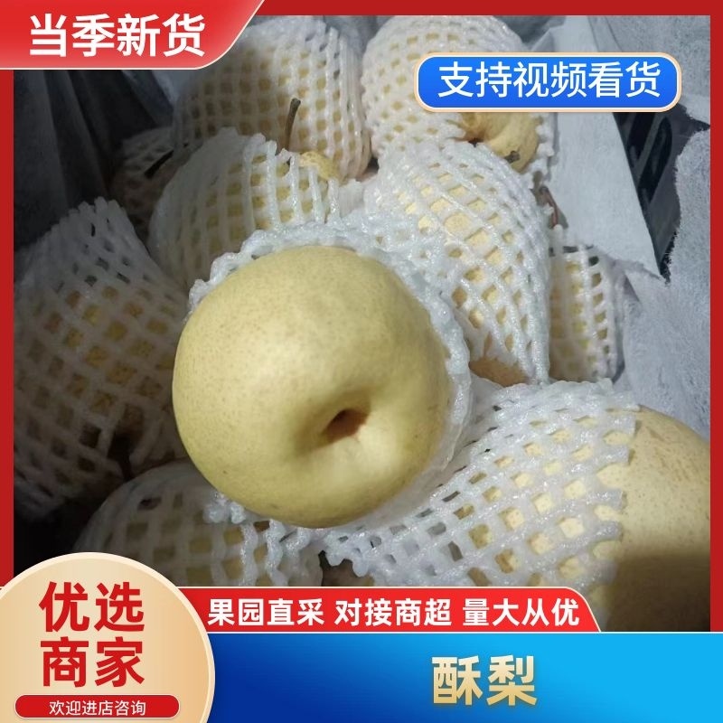 【优选】山西酥梨-隰县酥梨-产地直发-足斤足量-可视频看货