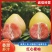 三红蜜柚子精品柚子皮薄肉厚汁水充足电商市场商超