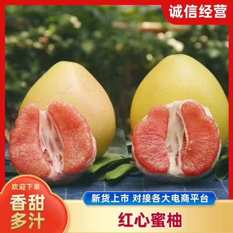 三红蜜柚子精品柚子皮薄肉厚汁水充足电商市场商超