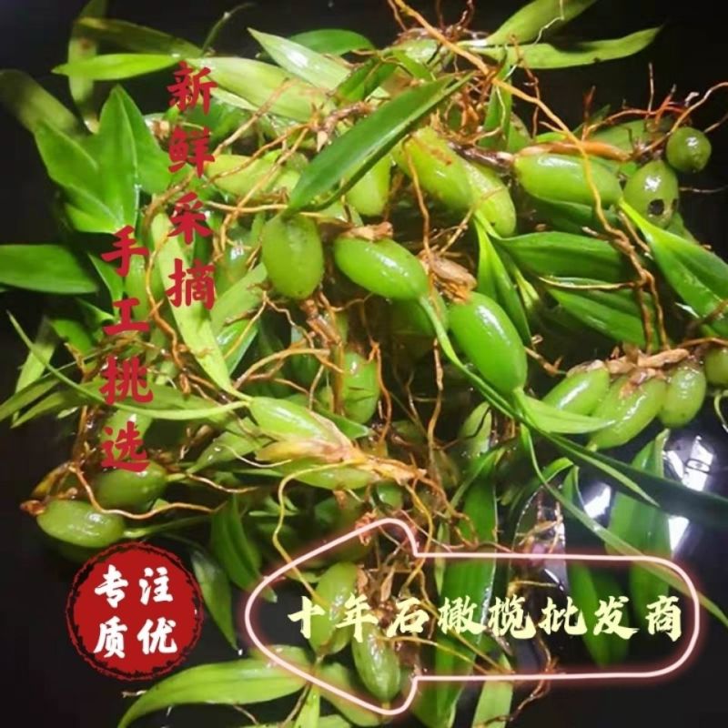 现发石橄榄新鲜广西石橄榄双叶石仙桃炖汤补品中小号福建石橄