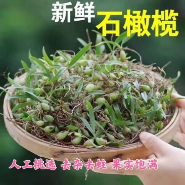 现发石橄榄新鲜广西石橄榄双叶石仙桃炖汤补品中小号福建石橄