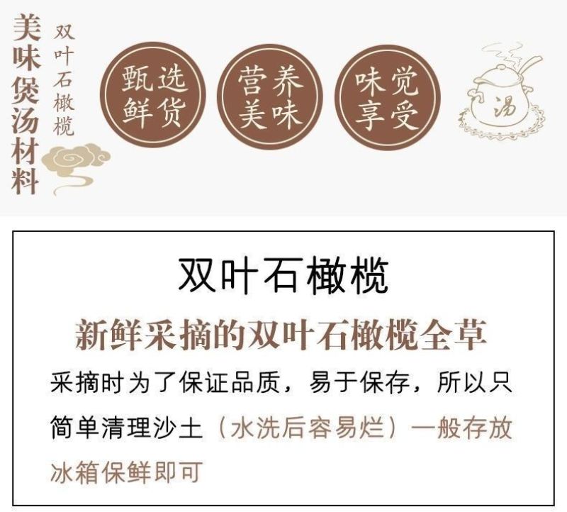 现发石橄榄新鲜广西石橄榄双叶石仙桃炖汤补品中小号福建石橄