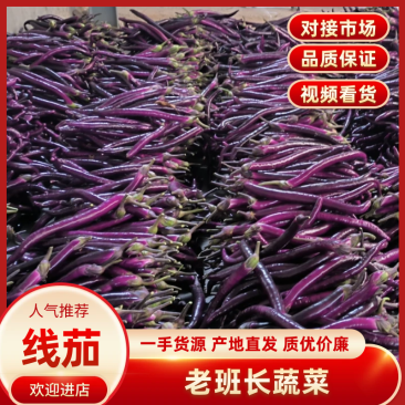 红线茄精品线茄一手货源品质保证可视频看货欢迎下单