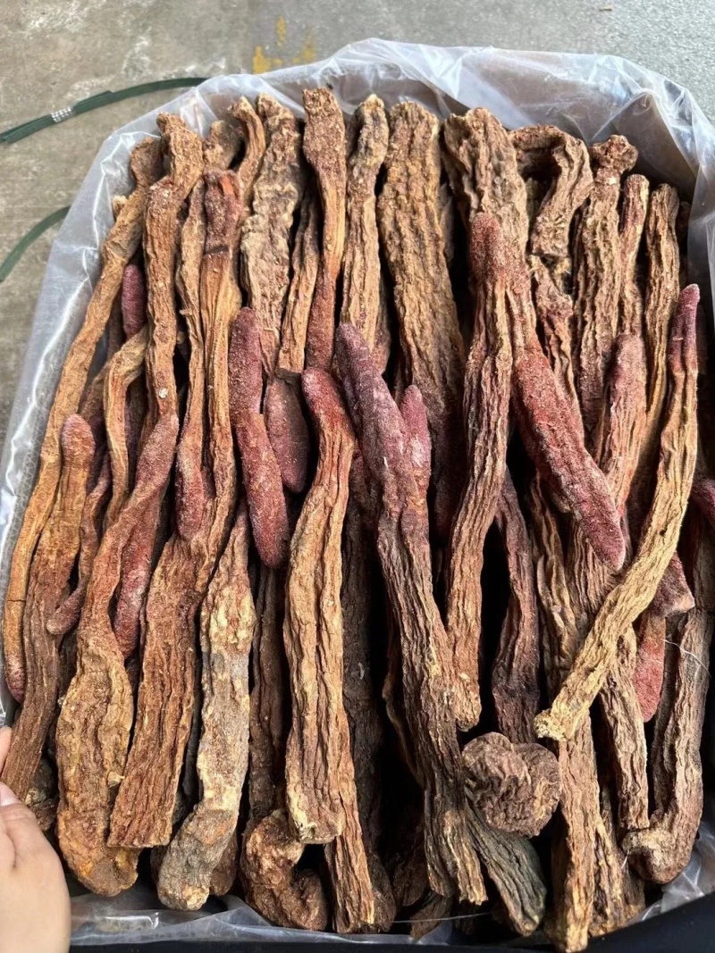 厂家直销锁阳粉新货农产品不老药中药粉