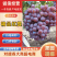 红提/陕西蒲城精品红提一手货源各种品质产地直发品质保障