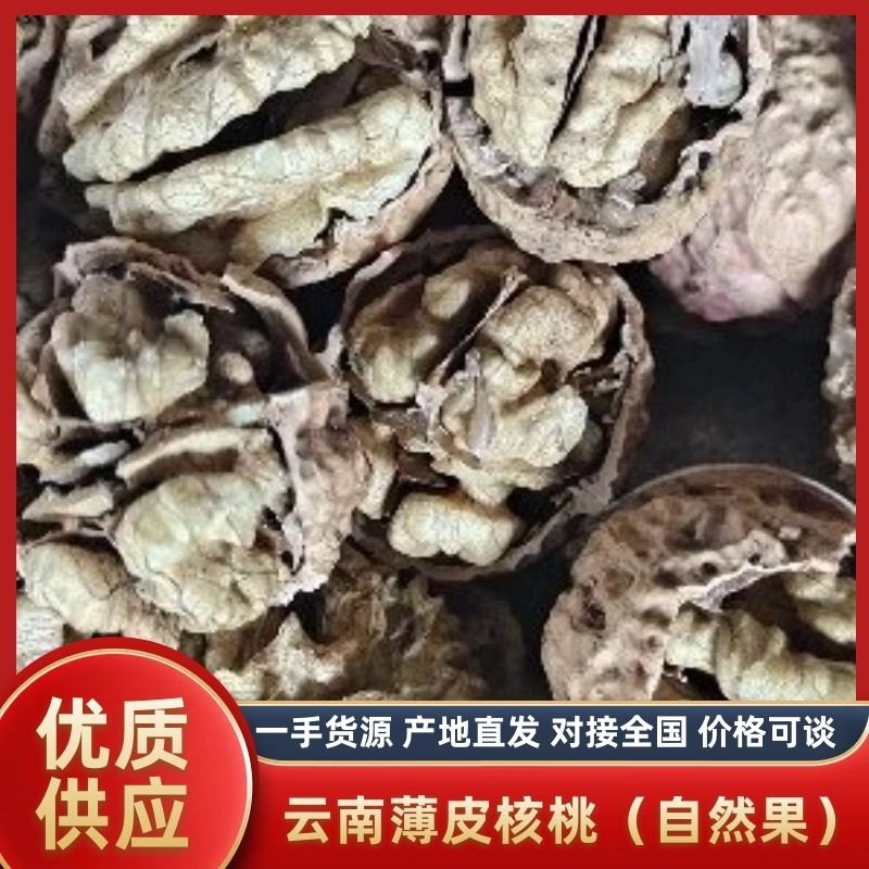 （自然果）云南楚雄绿之源农业薄皮核桃长年大量供货。