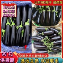 山东寿光茄子精品765长茄，烧烤茄质量保证对接全国商超