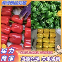 寿光红黄彩椒，甜椒货源充足量大从优专业对接商超、出口等