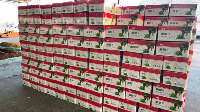 新疆葡萄干量大从优品质保障一手货源欢迎电联