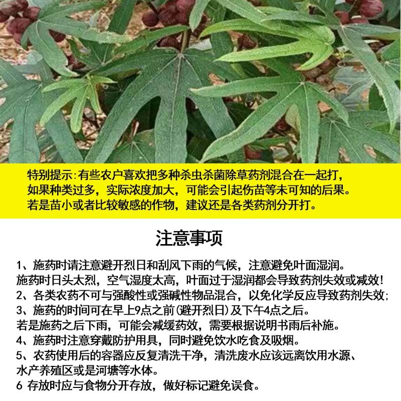 五指毛桃除草剂除禾阔叶莎草香附子日本草臭草刺儿菜精喹禾灵