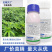 五指毛桃除草剂苗后除禾阔叶莎草香附子日本草臭草刺儿菜禾灵