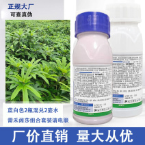 五指毛桃除草剂苗后除禾阔叶莎草香附子日本草臭草刺儿菜臭草