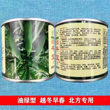 菜都丰宝西葫芦种子耐寒秋越冬早春油亮翠绿