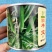 菜都丰宝西葫芦种子耐寒秋越冬早春油亮翠绿