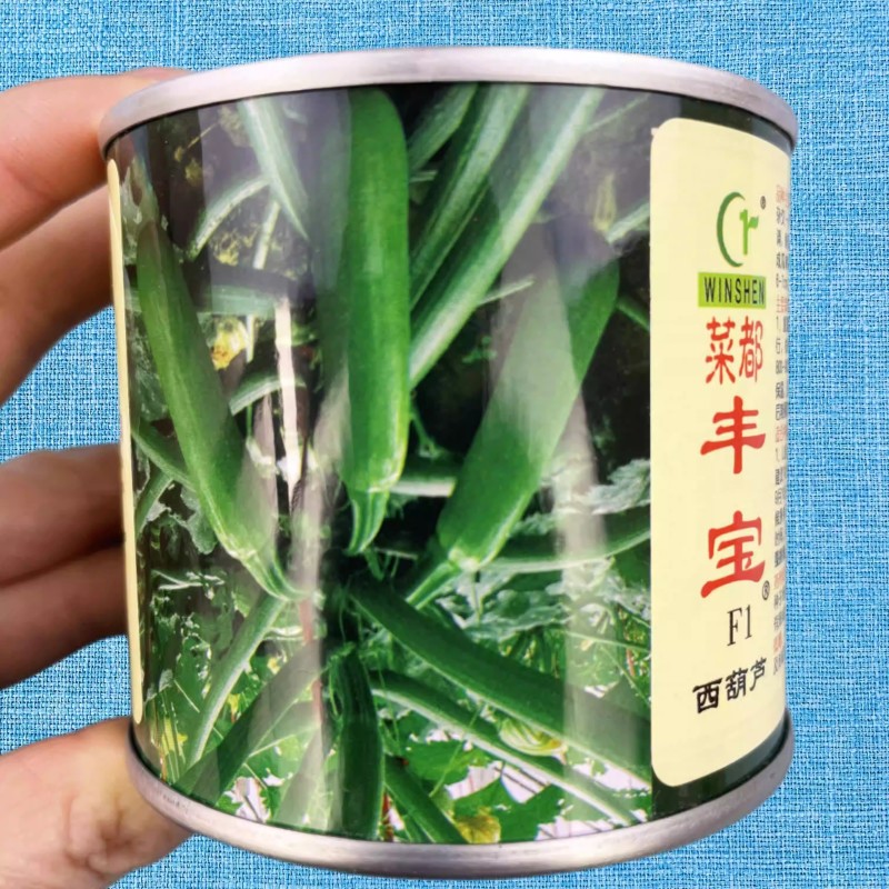 菜都丰宝西葫芦种子耐寒秋越冬早春油亮翠绿