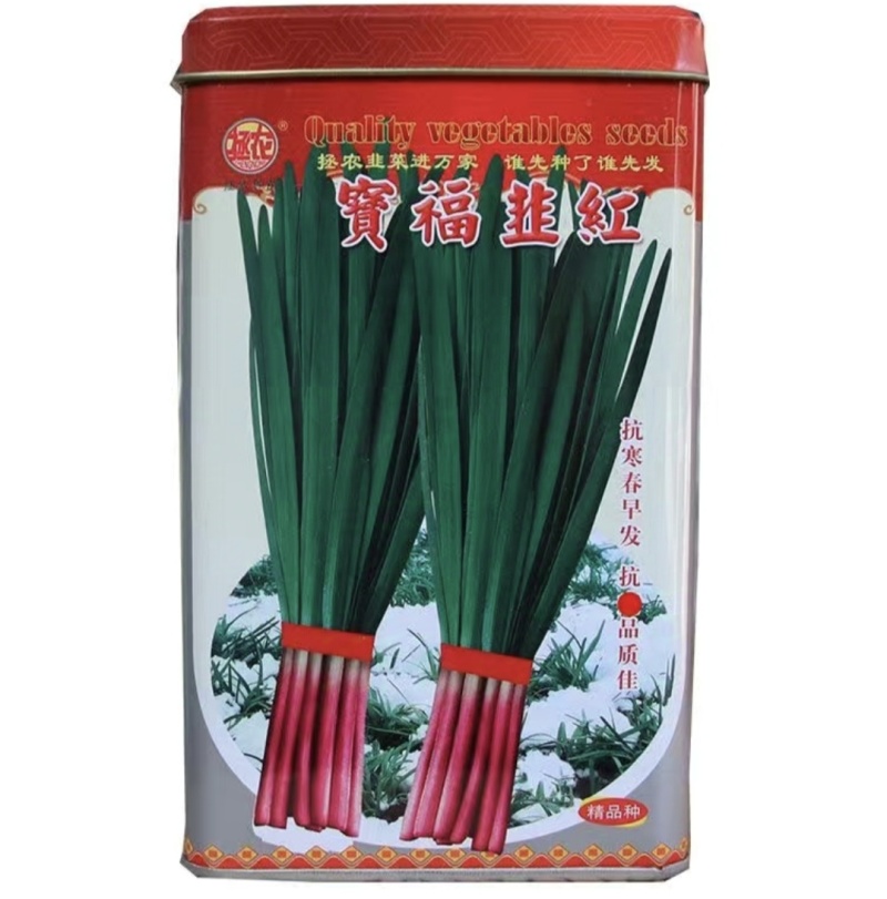 宝福红根韭菜种子抗病抗寒春早发叶色浓绿肥厚