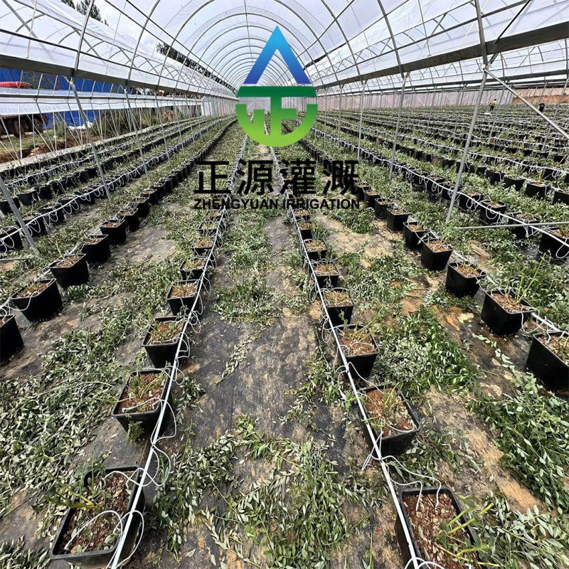正品滴蓝莓专用滴箭大棚盆栽自动灌溉滴头一件代发