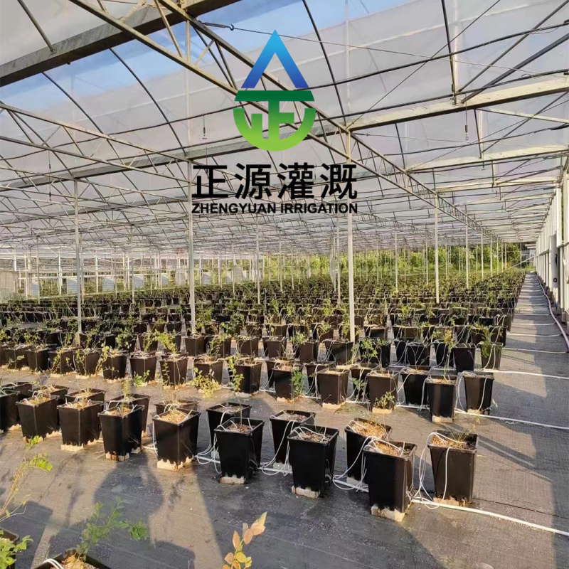 正品滴蓝莓专用滴箭大棚盆栽自动灌溉滴头一件代发